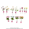 thumbnail image 1 of Flores Prichos Artificiales Decoración 1 Pieza, 1 of 4