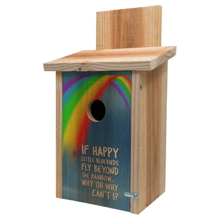 Bird Wash House - Cedar Blue Bird House Decorative Rainbow