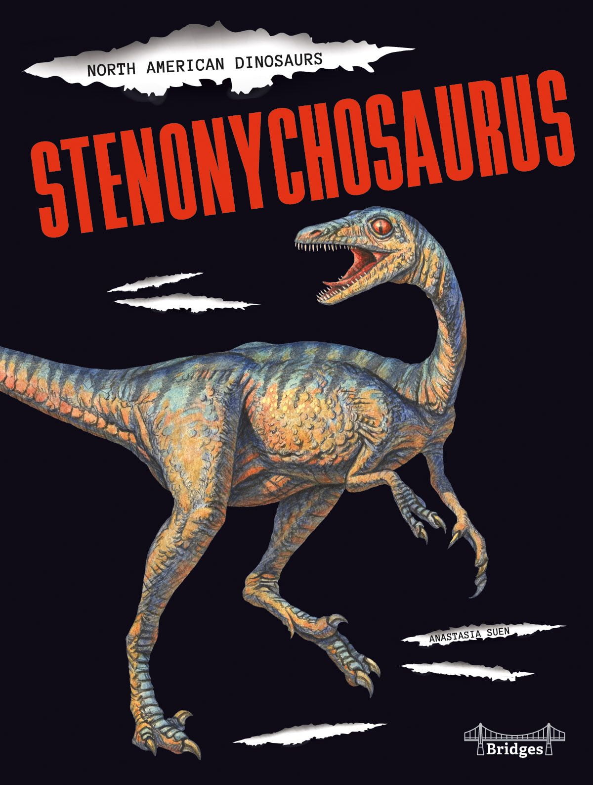 Stenonychosaurus - eBook - Walmart.com - Walmart.com