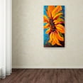 thumbnail image 3 of Trademark Fine Art 'Sunflower Solo II' Canvas Art by Marion Rose, 3 of 3