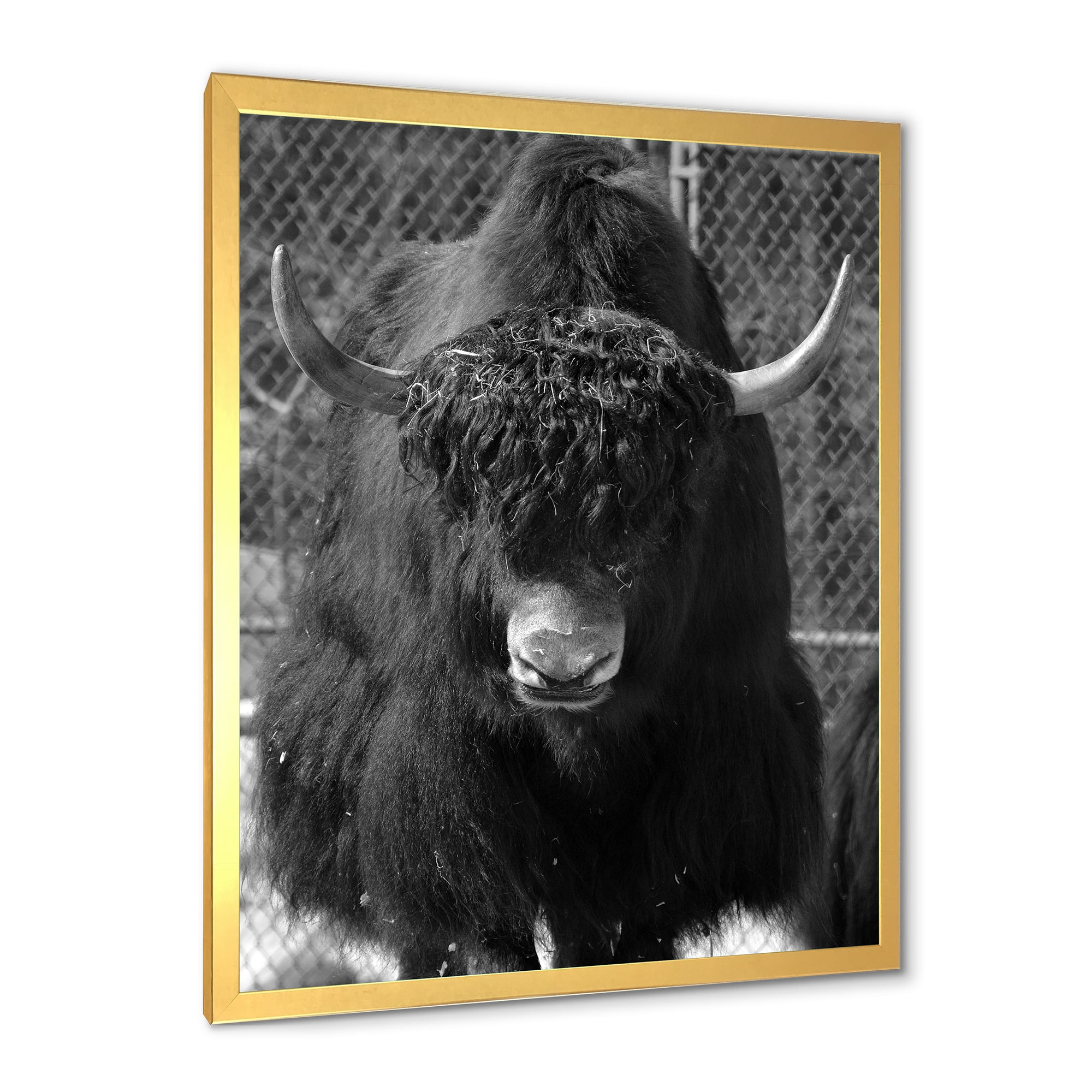 Designart 'Portrait Of Monochrome Wild Bull In Winter Forest II' Farmhouse Framed Art Print