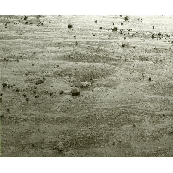 The Nature of Nature (Hardcover)