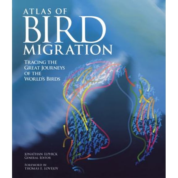 Pre-Owned Atlas of Bird Migration : Tracing the Great Journeys of the World's Birds (Paperback) 9781554079711