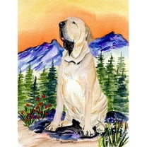 Brazilian Mastiff & Fila Brasileiro Flag - Garden Size