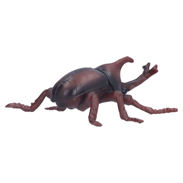 Modelo de Insectos de Escarabajo Realista Figura de Escarabajo PlásTico Toy Toy Kid's Educational Model Model Props