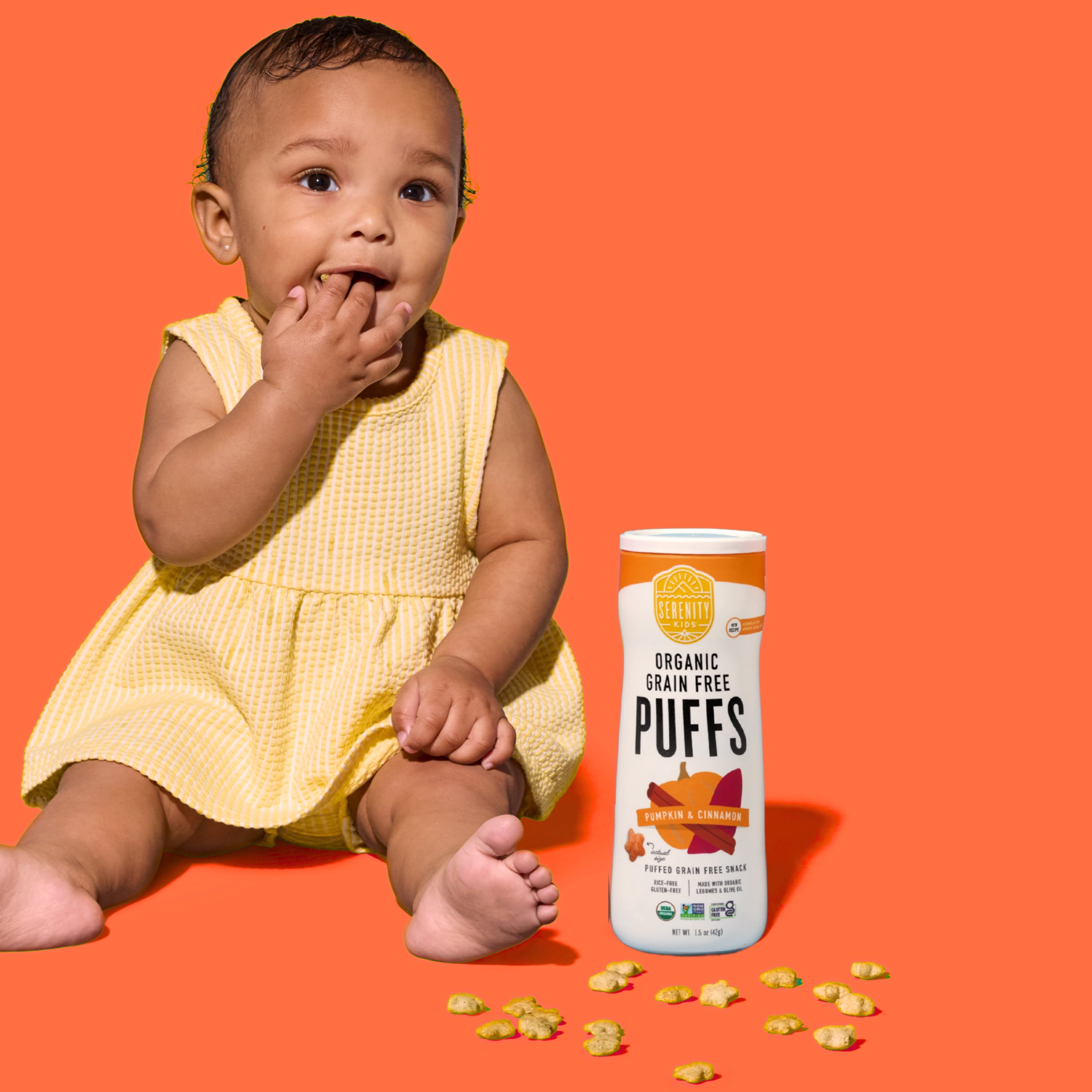 Serenity Kids Pumpkin & Cinnamon Organic Grain Free Puffs Baby & Toddler Snacks - 1.5oz