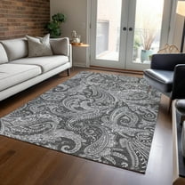 Addison Rugs Chantille Indoor/Outdoor Transitional Paisley Gray Washable Rectangle Rug, 3' x 5'