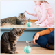 thumbnail image 2 of Juguete Eléctrico para Gatos, Juguete Interactivo, Pelota para Gatos, Pelota para Gatos con Movimiento Au, 2 of 7