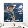 thumbnail image 1 of Mountain Lion Od Dead Wall Mural by Wallmonkeys Peel and Stick Graphic (48 in W x 48 in H) WM149548, 1 of 4
