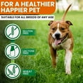 thumbnail image 6 of Turmeric and Curcumin for Dogs - 180 Count Tablet Treats – Helps Shedding, Skin Allergy, Itch and Dry Skin Relief, Hot Spots - Joint Health - Skin and Coat Supplement - Salmon Oil - Duck Flavor, 6 of 8