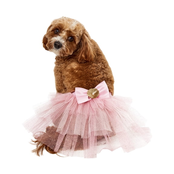 Birthday Fairy Tutu Pet Accessory