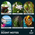 thumbnail image 3 of Coco Canary 6.7 oz Reed Diffusers for Home, Resort, Long-Lasting Floral Scent, Green Tea & Jasmine, Coastal Floral Breeze, 3 of 8
