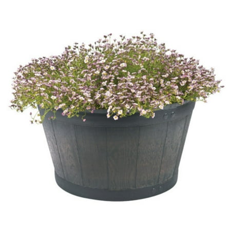 Misco Home Garden Planters Misco Home Garden Planters