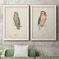 thumbnail image 5 of Scops- Eared Owl - Premium Framed Canvas 2 Piece Set - Ready to Hang, 5 of 7