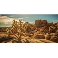 thumbnail image 2 of Lichtenwalter, Tom 14x9 Black Ornate Wood Framed with Double Matting Museum Art Print Titled - Desert Foreground, 2 of 4