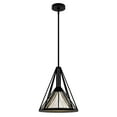 thumbnail image 2 of Hunter - Rafner 1-light Natural Black Iron, Medium Size Pendant Light, Dimmable, Geometric Style, Geometric Shaped, for Bedrooms, Dining, Living Rooms - 19451, 2 of 7