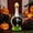 Black, variant on Spooky Porch Goose Halloween Outfit, Adjustable Neck Scarf Fall Porch Goose Outfit with Motif and Web Prints, Black Themed Porch Goose Costumes for Halloween Party Decor