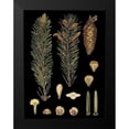thumbnail image 2 of Vision Studio 15x18 Black Modern Framed Museum Art Print Titled - Small Dramatic Conifers IV, 2 of 5