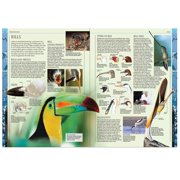 DK Definitive Visual Encyclopedias Bird, New Edition, (Hardcover)
