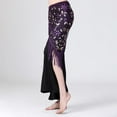 thumbnail image 5 of Female Mesh Hanging Belly Dance Hip Skirt Scarf Fussel  Sequins Tassel, 5 of 8