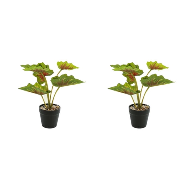 Planta en maceta Advancent JH5478 hojas artificiales para sala de estar dormitorio