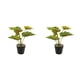 thumbnail image 1 of Planta en maceta Advancent JH5478 hojas artificiales para sala de estar dormitorio, 1 of 6