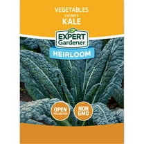 Expert Gardener Lacinato Kale Vegetable