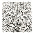 thumbnail image 3 of Ambesonne Coral Shower Curtain, Cracked Branch Brown, 69"Wx84"L, Beige, 3 of 5