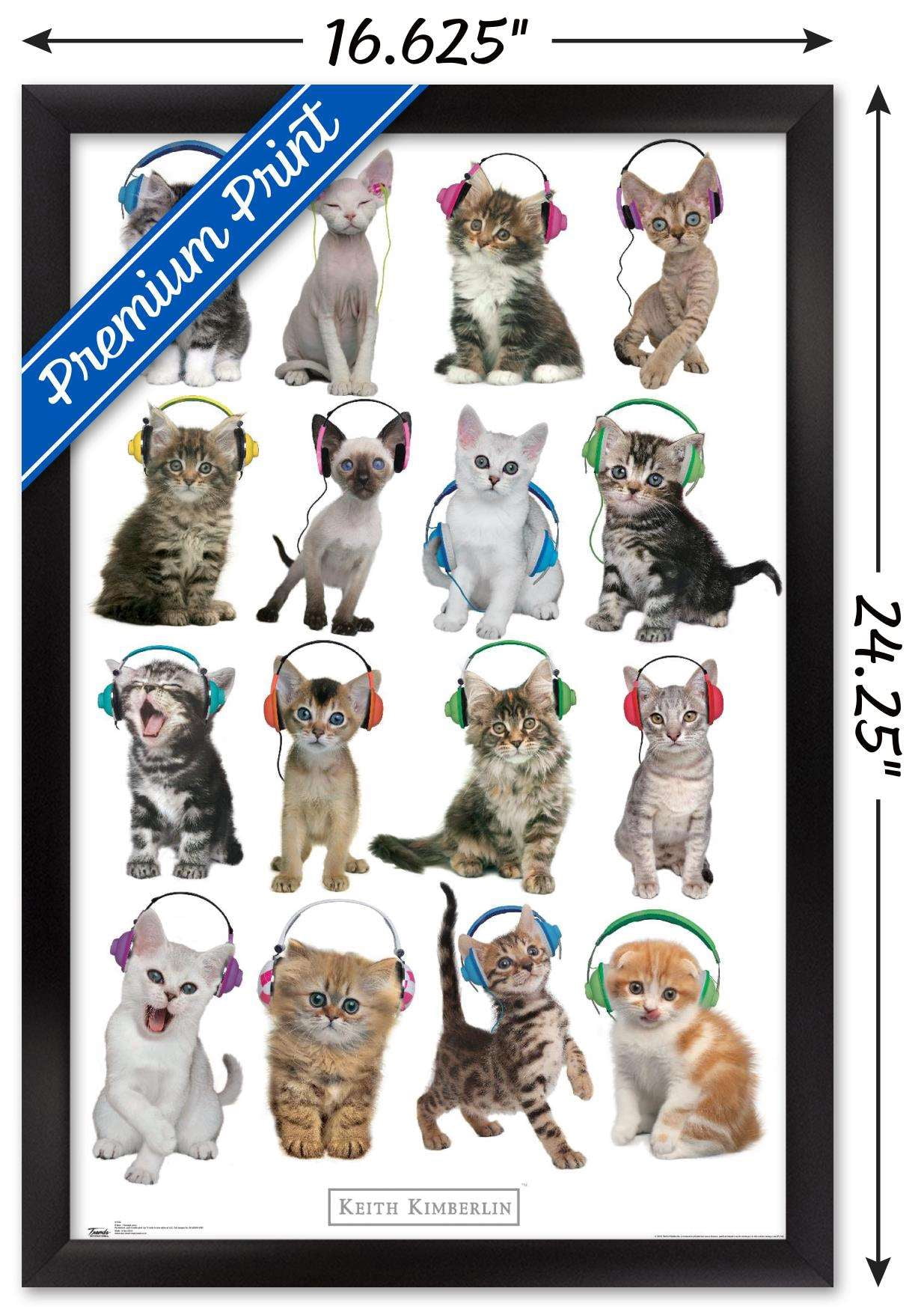 Keith Kimberlin - Kittens - Headphones Wall Poster, 14.725" x 22.375", Framed