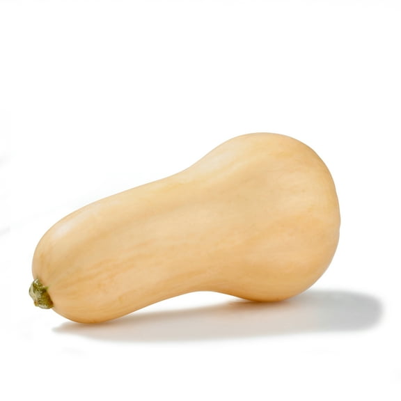 Butternut Squash, each
