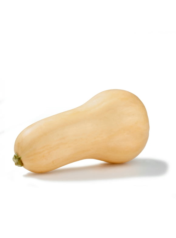 Squash & Eggplant in Fresh Vegetables