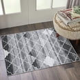 thumbnail image 2 of Hasoo Washable Area Rugs 2' x 3' Non-Slip Door Mat Boho Accent Throw Indoor Floor Carpets Gray, 2 of 5