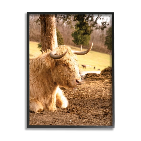 Stupell Industries Relaxing Cattle Lying Beneath Tree Grazing Farmland Meadow Photograph Black Framed Art Print Wall Art, Design by Donnie Quillen