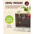 thumbnail image 4 of Kit de jardinería PLANTMEW Root Viewer Kids con 6 variedades de semillas, 4 of 7