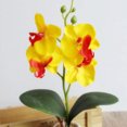 thumbnail image 1 of CAROOTU Simulation Flowers Fancy Four Butterfly Orchid Meaty Plant Bonsai Flower, 1 of 5