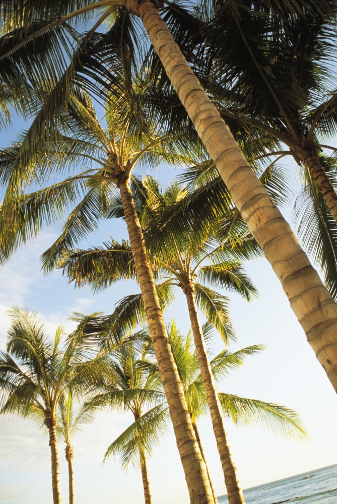 Posterazzi Hawaii O