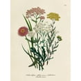thumbnail image 2 of Piddix 19x24 Gold Ornate Wood Framed with Double Matting Museum Art Print Titled - Vintage Flowers II, 2 of 4