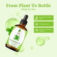 thumbnail image 4 of Aceite esencial SVA de menta 100% natural, 120 ml con gotero, 4 of 8