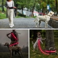 thumbnail image 4 of Vizbrite Laisse pour Chien Mains Libres à LED, Laisse de Taille pour Promenade, Laisse Lumineuse Rétractable, Laisse Réfléchissante pour Course Jogging, Entraînement, Randonnée, 4 of 7