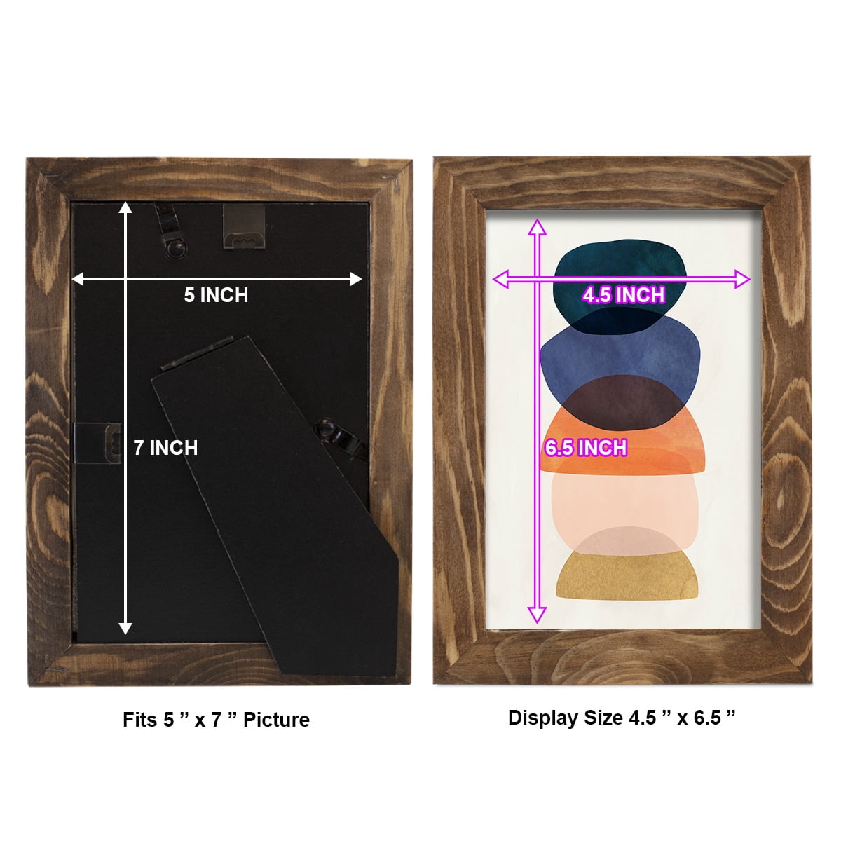 Mod Pods I -Framed Print w/glass-Walnut