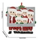thumbnail image 4 of Teissuly 2020 Christmas Holiday Decorations Personalized Survived Theme Family of Ornament Teissuly WER202312134084, 4 of 4