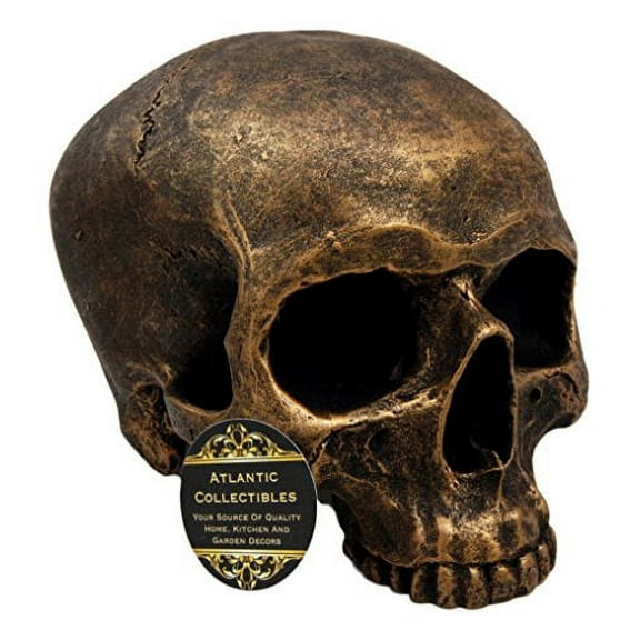 Pirate Treasure Relic Brushed Gold Severed Upper Half Skull Figurine Statue