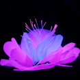 thumbnail image 3 of Flores artificiales NQ fluorescentes para estanque de loto decoración flotante, 3 of 5