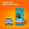 thumbnail image 6 of Iams Proactive Health Salmon Dry Cat Food, 3.5 Lb Bag, 6 of 9
