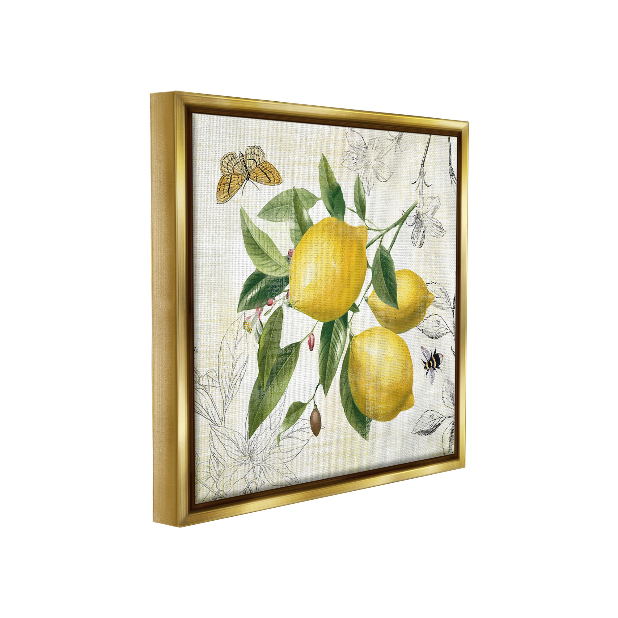 Stupell Industries Vintage Lemon Blossoms Food & Beverage Painting Gold Floater Framed Canvas Art Print Wall Art, 25 x 25