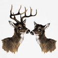 thumbnail image 3 of CafePress - Buck And Doe Long Sleeve T Shirt - Unisex Cotton Long Sleeve T-Shirt, 3 of 4