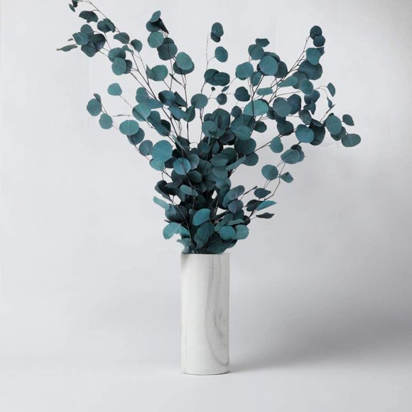 Eucalyptus Dried Flowers Real, Eucalyptus Dried Flowers Bouquet High Quality Pure Natural Plant Round Leaf Eternal Life and Fresh, Dried Flowers Decoration for Party