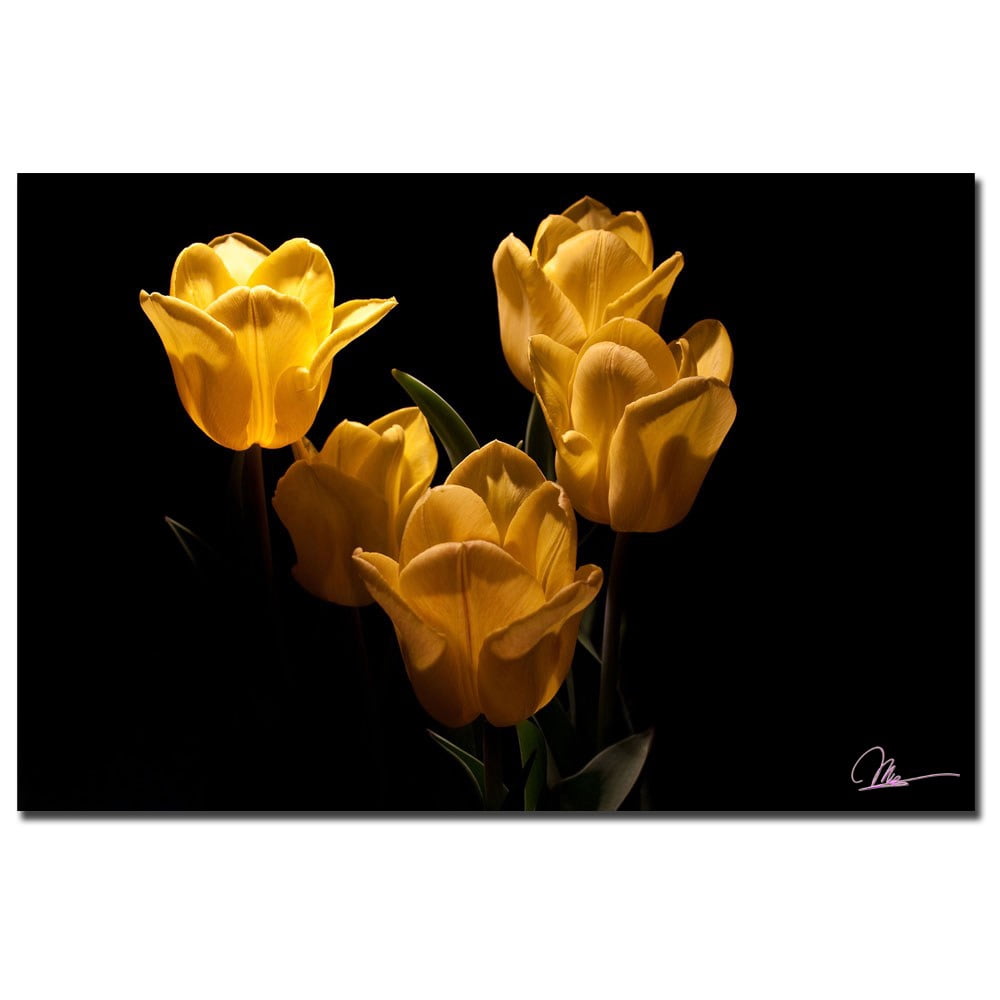 Trademark Fine Art "Yellow Blooms V" Canvas Art by Martha Guerra, 16x24