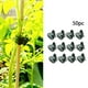 thumbnail image 5 of 50 clips para plantas 2025, clips mejorados para orquídeas, clips de plástico resistentes para plantas, clips para tomates, clips para orquídeas, clips para fijar enredaderas, 5 of 8