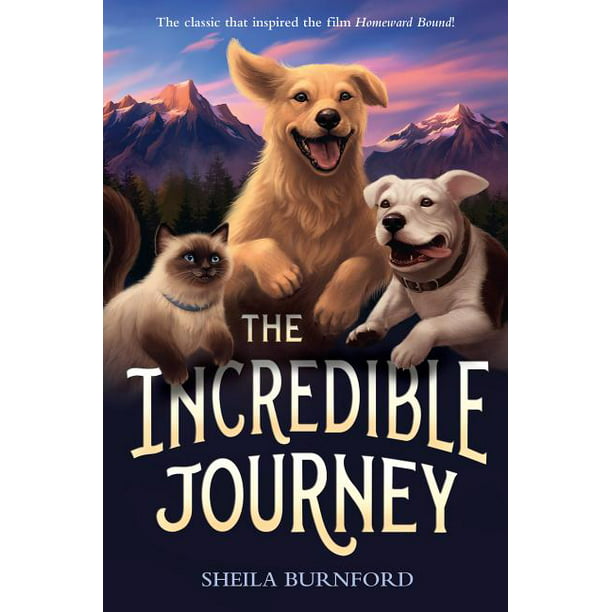 incredible journey children's book